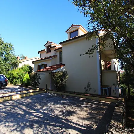 Kviki
